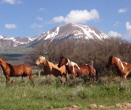 Mount Peale Country Inn La Sal Bagian luar foto