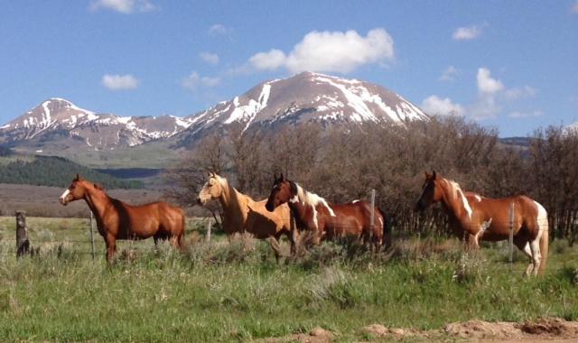 Mount Peale Country Inn La Sal Bagian luar foto
