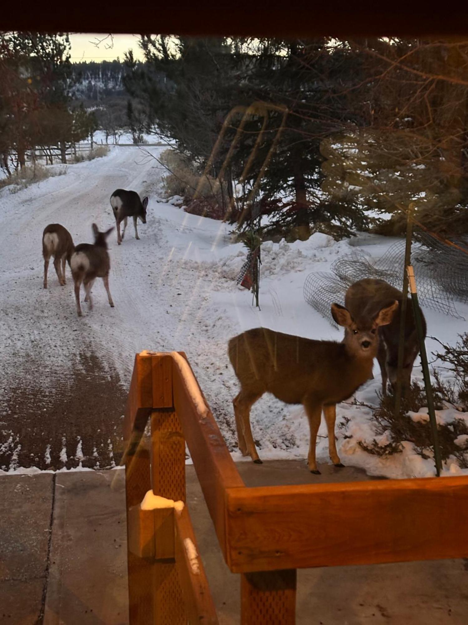 Mount Peale Country Inn La Sal Bagian luar foto